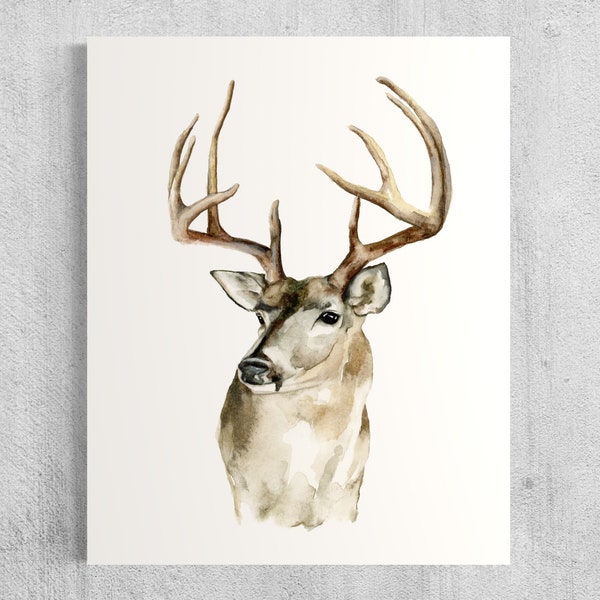 Mule deer buck wildlife art print reproduction watercolor painting by Meredith O'Neal