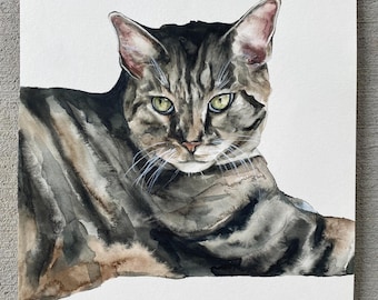 Custom cat portrait  - original watercolor painting by Meredith O'Neal