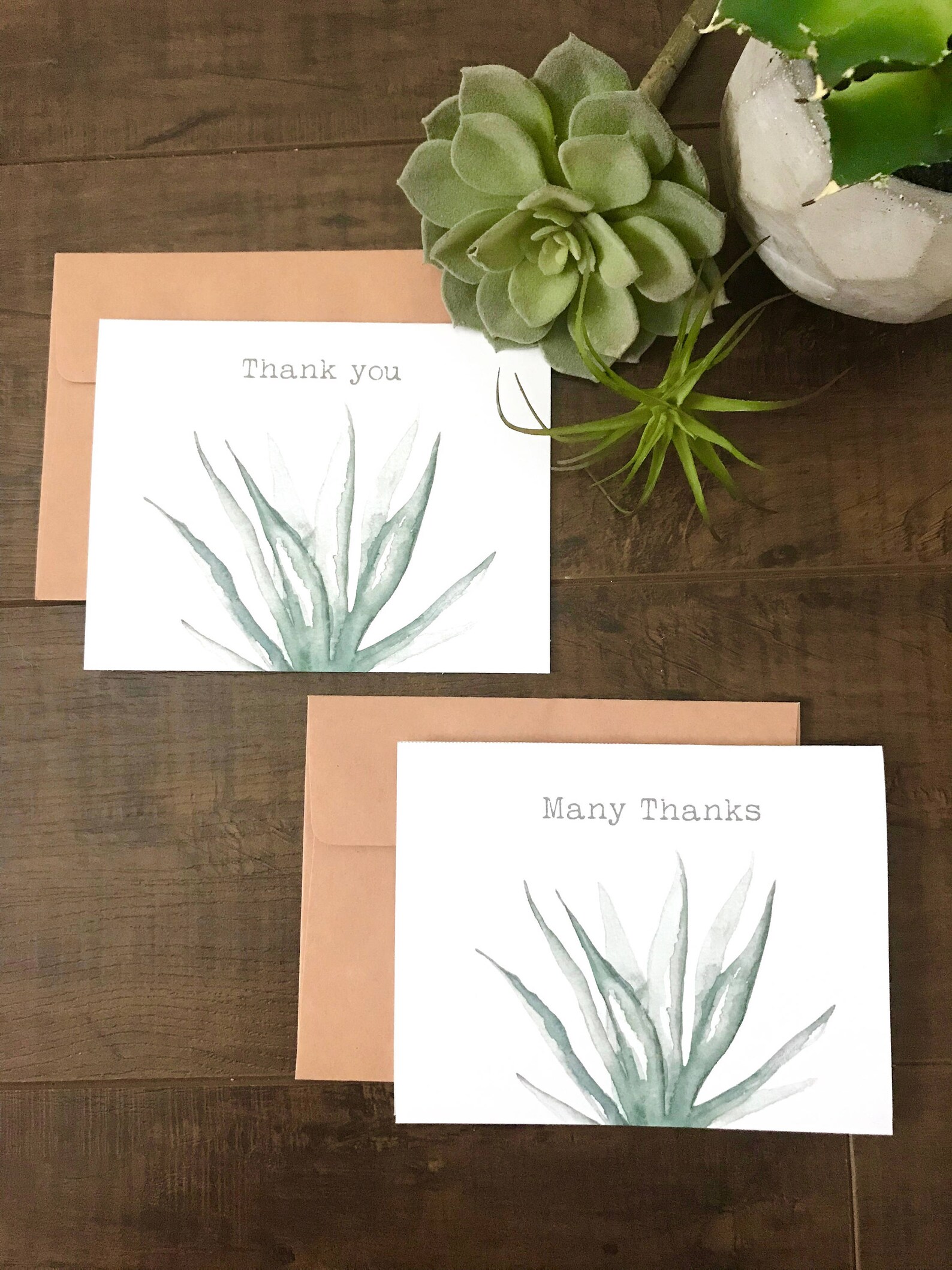Set of 6 Thank You Cards - Watercolor Aloe Vera Plant - Etsy