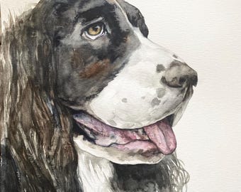 Custom pet portrait  - original watercolor painting by Meredith O'Neal