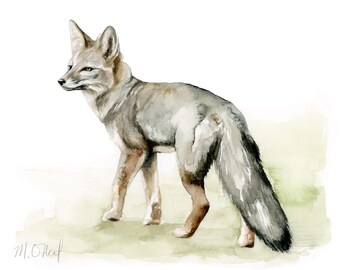 Grey Fox watercolor original painting animal wildlife portrait texas