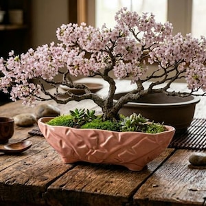 May include: A flowering cherry blossom bonsai tree with light pink petals and a textured brown trunk, planted in a textured, oblong, light pink ceramic pot with small green succulents and moss at the base, resting on a rustic wooden table.