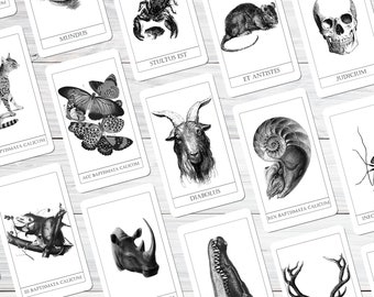 Dark Creatures Tarot Modern Vintage Aesthetic Occult Pagan Tarot Cards Dark, Creepy Black and ...
