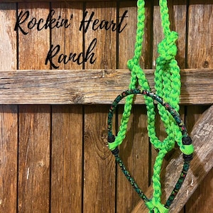 Lime Green with Cactus Print Lariat Rope Nose Muletape Halter with Matching 8’ Lead Rope