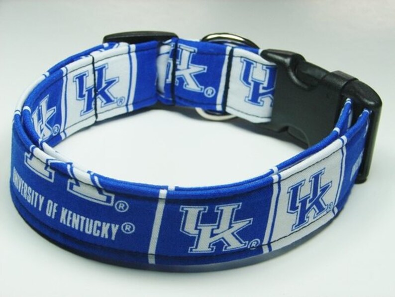 University of Kentucky Wildcats College Dog Collar Etsy