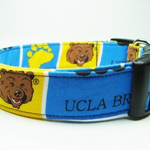 bruins dog collar