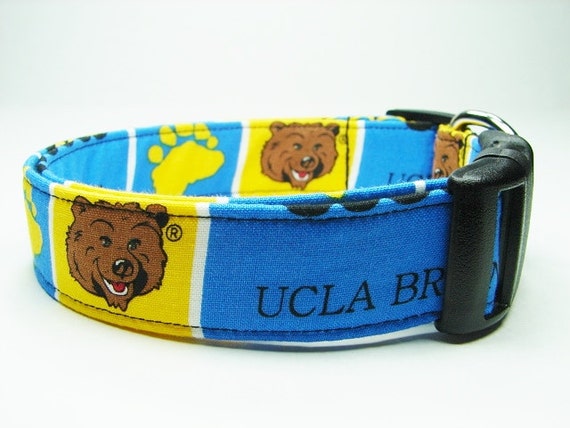 bruins dog collar