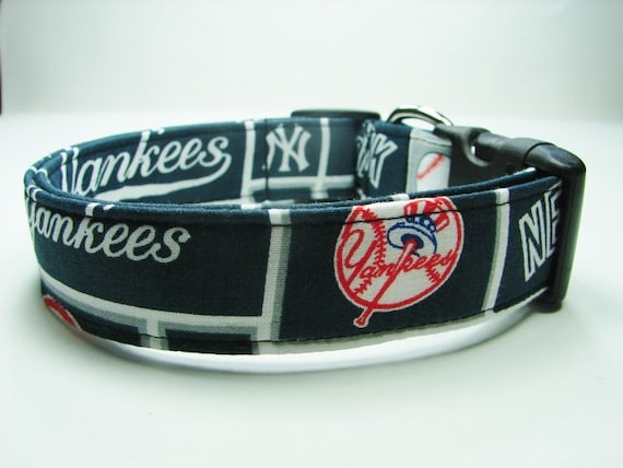 Ny yankees top dog collar