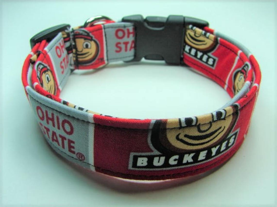 Ohio State Buckeyes Dog Collar - Official Collegiate Licensed Pet Accessory