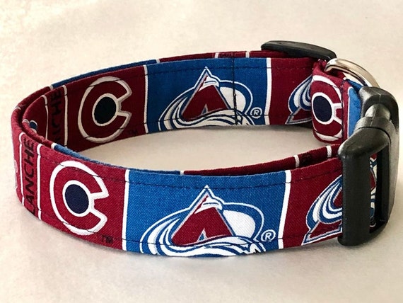 avalanche dog collar