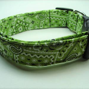 Green Bandana Dog Collar