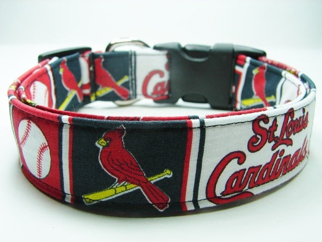 St Louis Cardinals Dog Collar