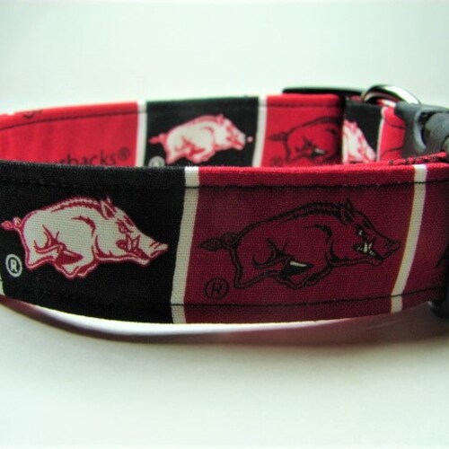 razorback dog collar