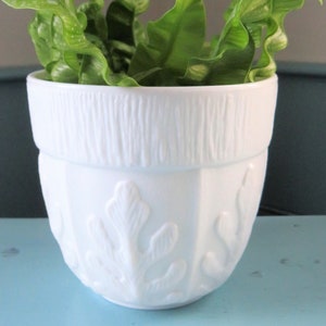 FTD Milk Glass Planter, OAK LEAVES, Indoor Planter