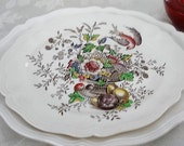 Royal Doulton Hampshire floral flowers birds serving platter D6141 original drawing by Cutts Circa 1840