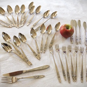 38 Pieces MCM ONEIDA My ROSE Flatware - Many Special-use Pieces