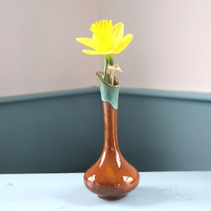 May include: A brown ceramic vase with a green rim holds a bright yellow daffodil. The vase has a bulbous base and a slender neck. The flower is in full bloom, with its petals spread wide.