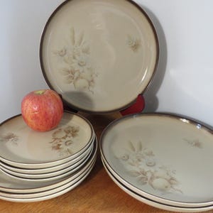 Op de afbeelding: Een verzameling beige keramische borden met een bruine rand en bloemenontwerp. Een rode appel ligt op een stapel kleinere borden. De borden zijn gerangschikt op een houten oppervlak.