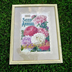 Puede incluir: Impresión enmarcada de la revista Seed Annual de 1900 con flores coloridas en tonos rosa, morado y blanco. La impresión está sobre un fondo a rayas con un borde de encaje y está enmarcada en un marco de madera clara.