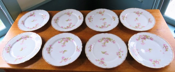 Limoges Coronet Dinner Plates (set of 4): Pink Floral