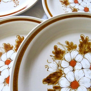 HEARTHSIDE MOUNTAIN WOOD Dried Flowers Dinnerware