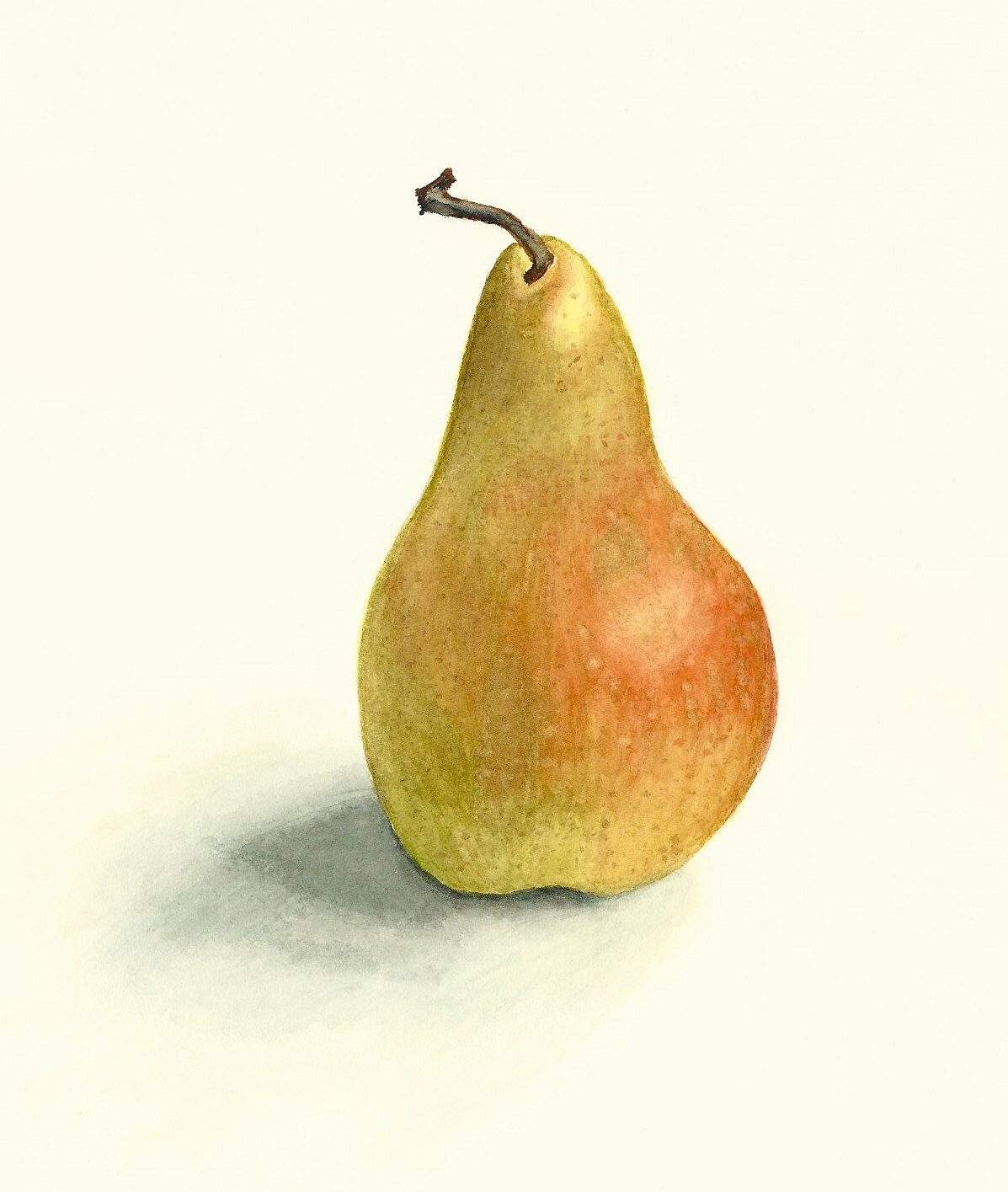 Original Realistic Pear Watercolor Digital Print 6x8 on Acid Etsy