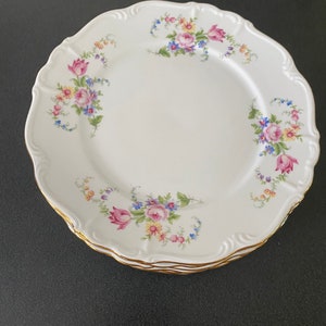 Set of 11 early 20thc Edelstein Bavaria Maria Theresia in the Spring Floral Pattern Dinner plates  Germany 10” across