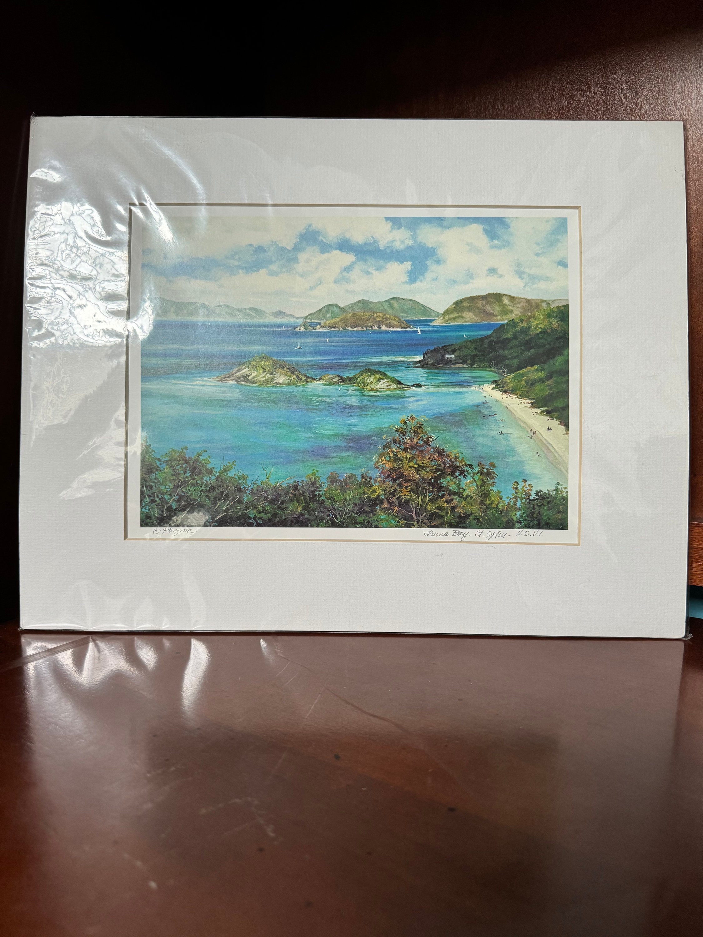 Brigitte Kozma Pastel Print Trunk Bay St. John US V.I. Pencil