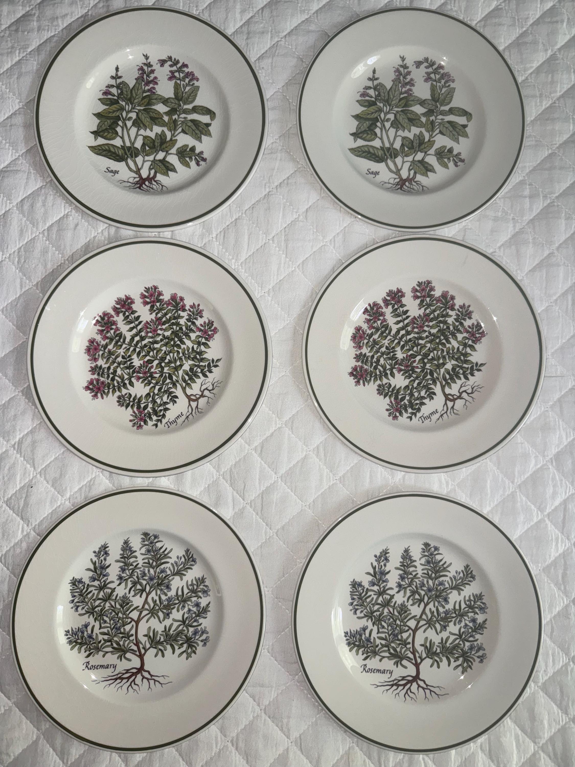 Tiffanys Salad Plate - Etsy