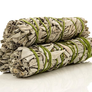 Mini California White Sage Smudge Sticks. Personal smudging,  Native Healing, Mystical Sage, appx 4&quot; - 3/6/9/12 Pack * FREE SHIPPING *