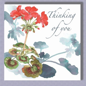 PK065 Red Geranium card! Fiori per tutta l'estate e porta un sorriso ai giardinieri appassionati! Rallegra la loro giornata! Design di Paula