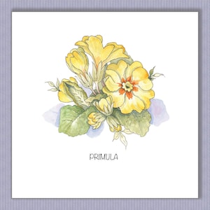 PK058 Primevère jaune. Signes du printemps. Une carte fabuleuse pour envoyer un mot à votre famille ou à des amis ! Ils seront ravis. Design par Paula