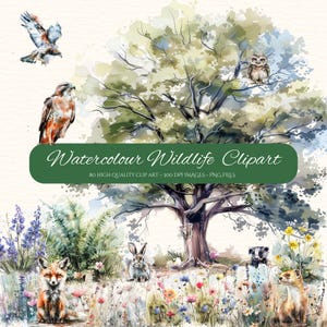Een set van 80 prachtige aquarel wildlife clipart, wild life png, platteland illustraties, cadeau creatie, aquarel wildlife illustraties