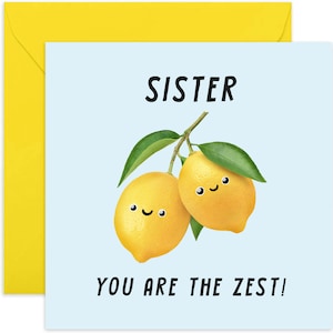 Sister, You Are The Zest Card - Fun Birthday Card for Her - Birthday Card For Sister - Funny Sister Birthday Card - Best Sister Card