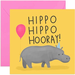 Hippo Hippo Birthday Card - Fun Birthday Card for Him or Her - Cute Happy Birthday Greeting Card for Friends and Family