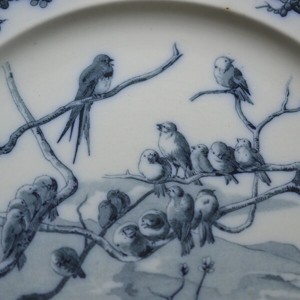 Brown Westhead Moore Ironstone Plate Fontaine's Fables The Swallow Ironstone Flow Blue