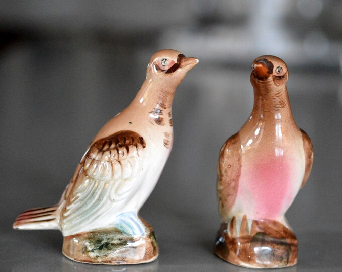 Vintage Pheasant Salt and Pepper Shakers Porcelain Japan Etsy