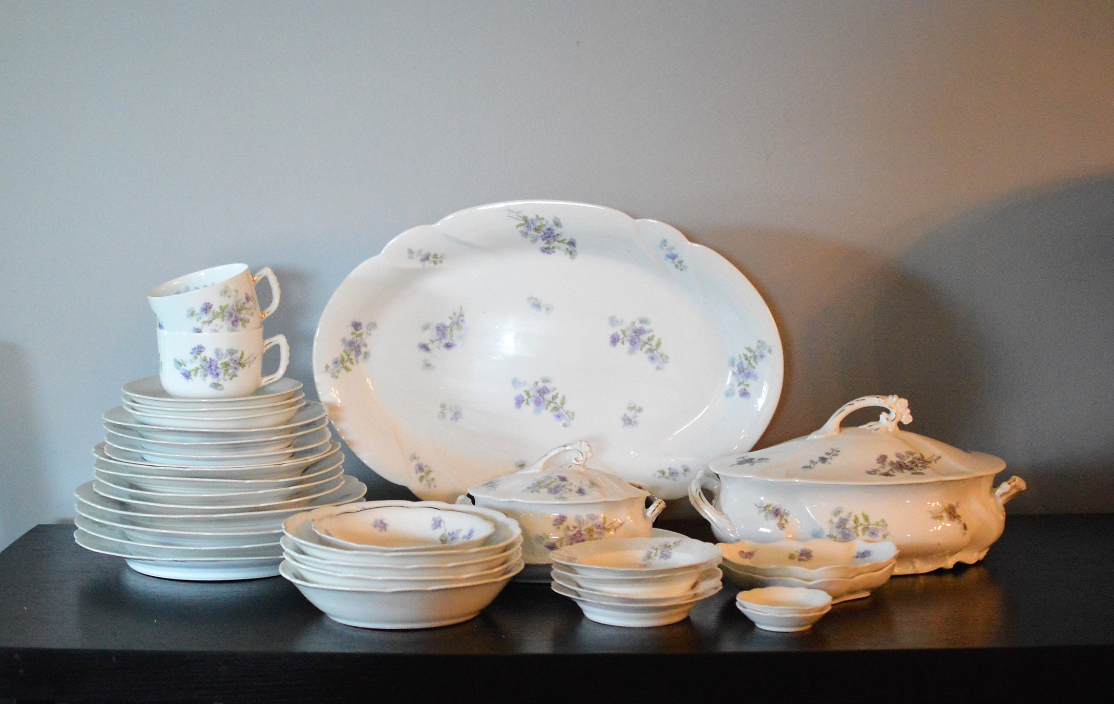 Leonard Vienna Austria China Dinnerware Set Service for 4 Etsy