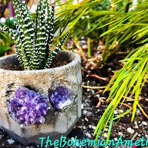 Geode Planter Pot / Raw Amethyst Geode / Cement Planter / Handmade Planter / Indoor Geode Planter / 3 Inch Planter