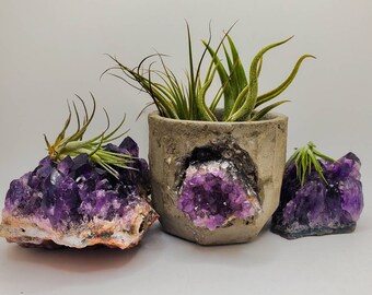 Amethyst Crystal Geode Planter, Medium Concrete and Amethyst Succulent Planter, Dark Purple, Wedding Birthday and Bridesmaid Gifts, Boho