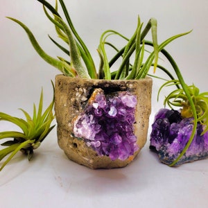 May include: A concrete planter with a purple amethyst crystal cluster. The planter is filled with green air plants.