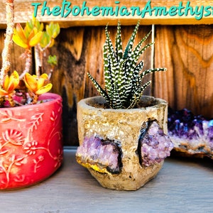Geode Planter Pot / Raw Amethyst Geode / Cement Planter / Handmade Planter / Indoor Geode Planter / 3 Inch Planter