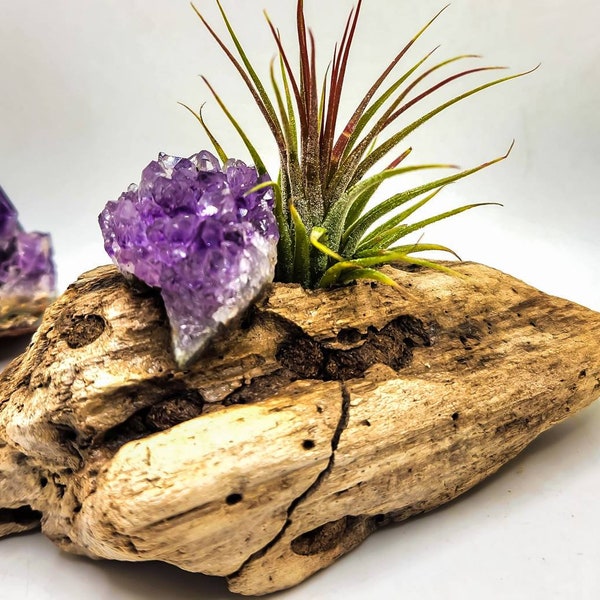 Unique Plant Holder Etsy