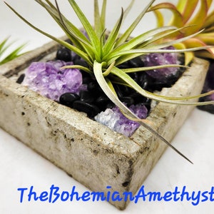 May include: A square concrete planter with a green air plant, purple amethyst crystals, and black pebbles. The planter is sitting on a white surface.