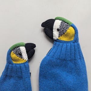 your parrot pet as scarf
