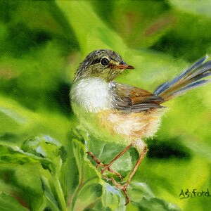 Wren, Bird Enthusiast, Nature, Woodland Art, Bird Watcher Gift