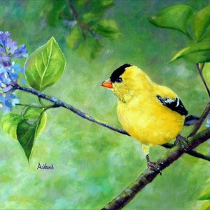 Goldfinch, Bird Art, Lilacs, Flowers, Woodland, Nature Art, Bird Lover, Bird Collector