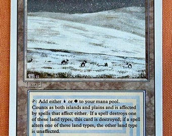 マジック：ザ・ギャザリング 1994 Magic: The Gathering Tundra NM 1994 Magic the Gathering Tundra Revised Edition Mint PSA 9