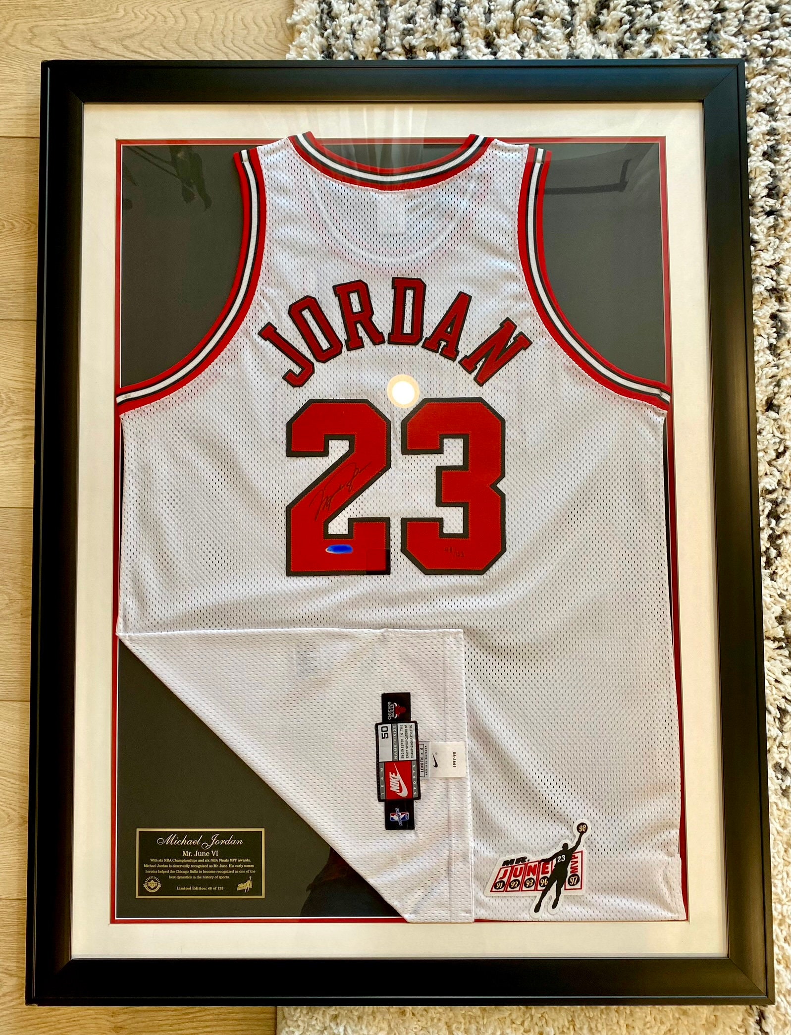 Michael Jordan 35x43 Custom Framed Jersey Display