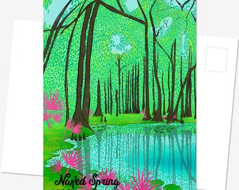 Naked Spring Postcard - Gilchrist Blue Springs State Park - Florida Springs